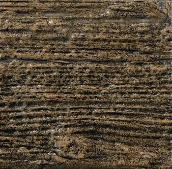 Close-up of a textured brown surface with visible grain